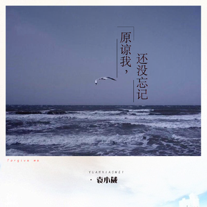 免费成人看黄色的网站
