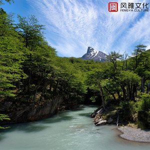 免费成人看黄色的网站
